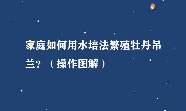 家庭如何用水培法繁殖牡丹吊兰？（操作图解）