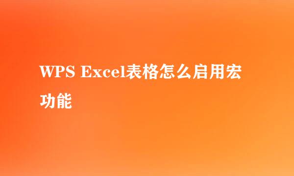 WPS Excel表格怎么启用宏功能