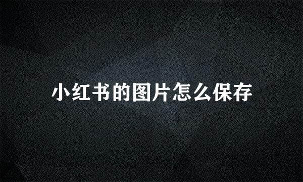 小红书的图片怎么保存