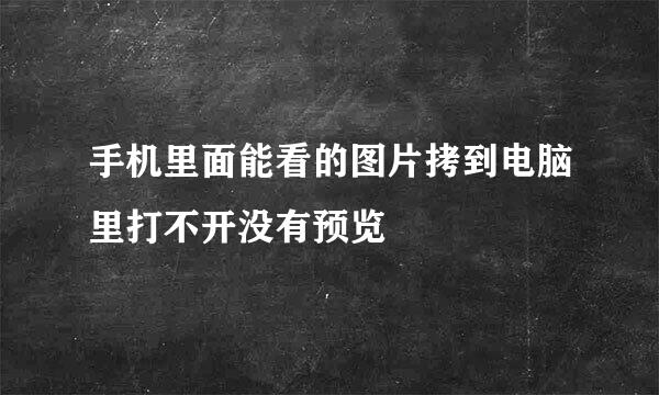 手机里面能看的图片拷到电脑里打不开没有预览
