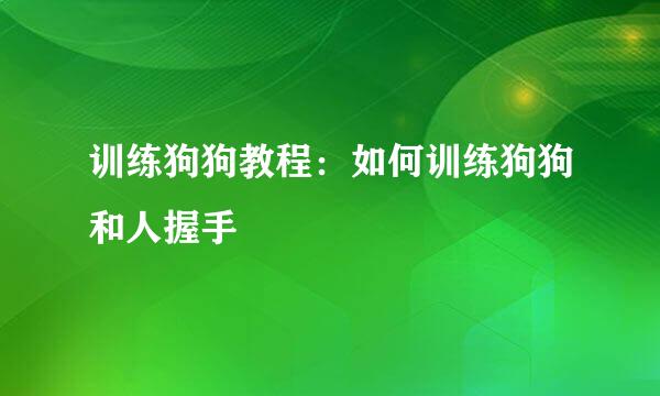 训练狗狗教程：如何训练狗狗和人握手