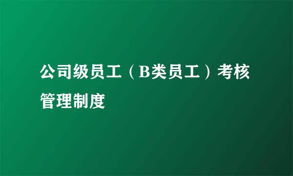 公司级员工（B类员工）考核管理制度