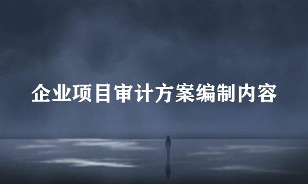 企业项目审计方案编制内容