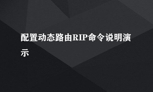 配置动态路由RIP命令说明演示