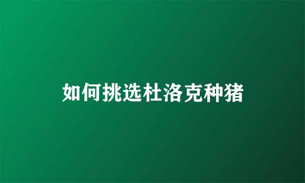 如何挑选杜洛克种猪