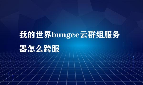 我的世界bungee云群组服务器怎么跨服