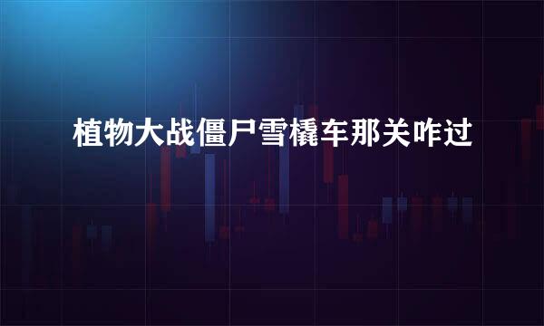 植物大战僵尸雪橇车那关咋过