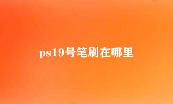 ps19号笔刷在哪里