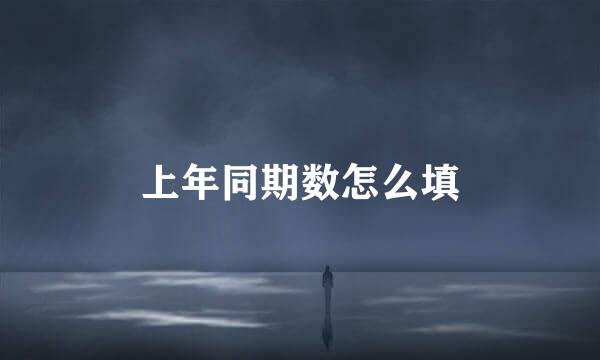 上年同期数怎么填