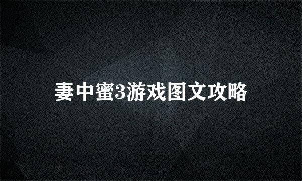 妻中蜜3游戏图文攻略