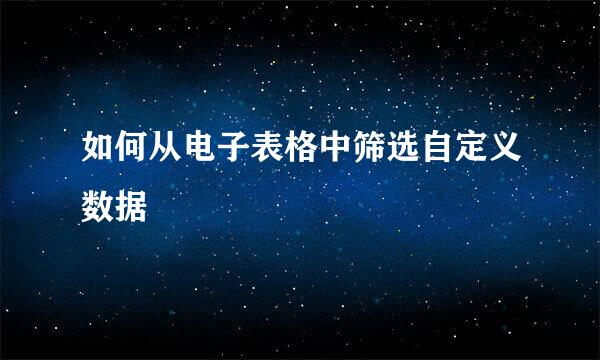 如何从电子表格中筛选自定义数据