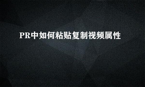 PR中如何粘贴复制视频属性
