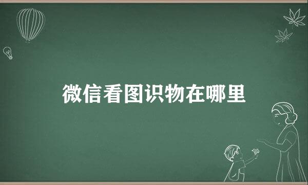 微信看图识物在哪里