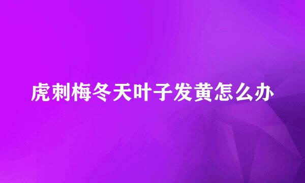 虎刺梅冬天叶子发黄怎么办