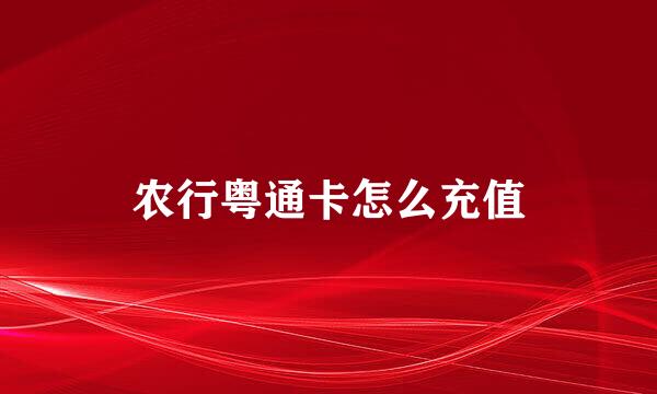 农行粤通卡怎么充值
