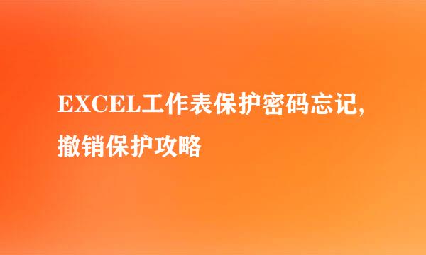 EXCEL工作表保护密码忘记,撤销保护攻略