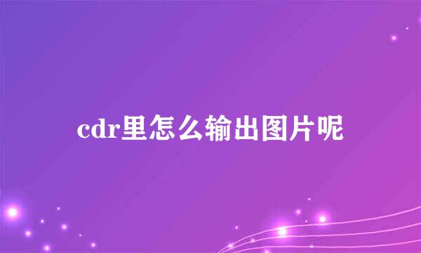 cdr里怎么输出图片呢