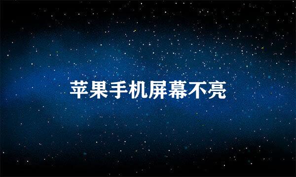 苹果手机屏幕不亮