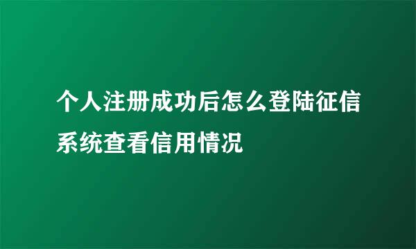 个人注册成功后怎么登陆征信系统查看信用情况