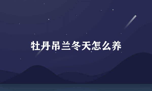 牡丹吊兰冬天怎么养