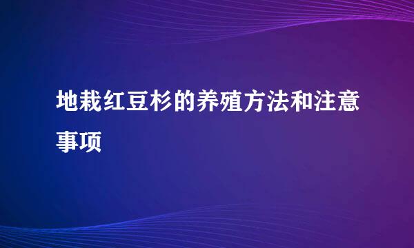 地栽红豆杉的养殖方法和注意事项