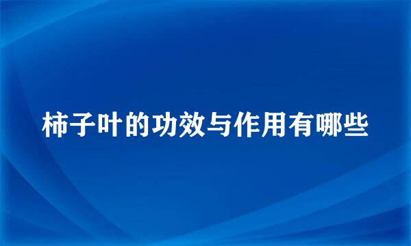 柿子叶的功效与作用有哪些