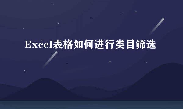 Excel表格如何进行类目筛选