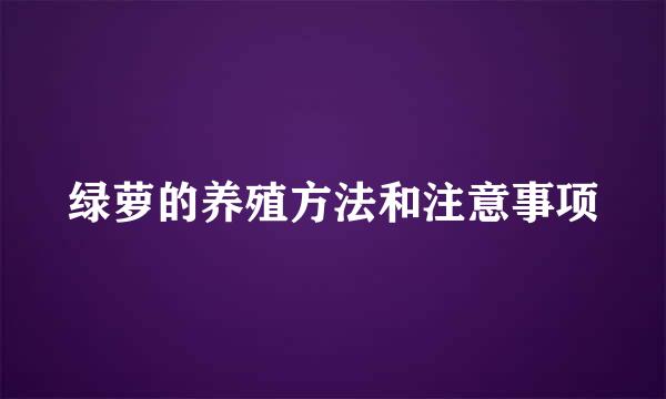 绿萝的养殖方法和注意事项