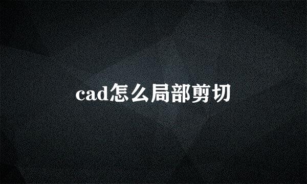 cad怎么局部剪切