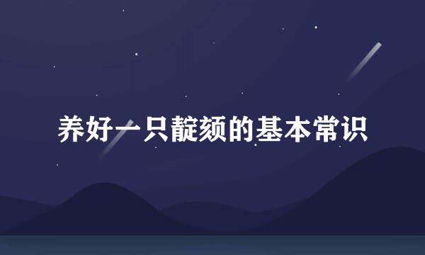 养好一只靛颏的基本常识