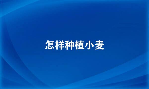 怎样种植小麦