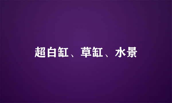 超白缸、草缸、水景