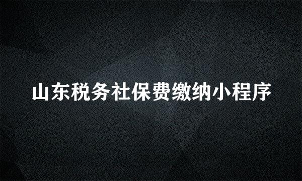 山东税务社保费缴纳小程序