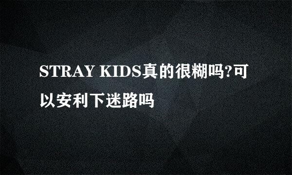 STRAY KIDS真的很糊吗?可以安利下迷路吗