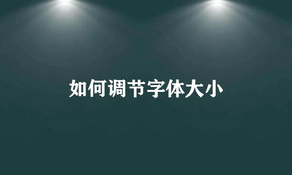 如何调节字体大小