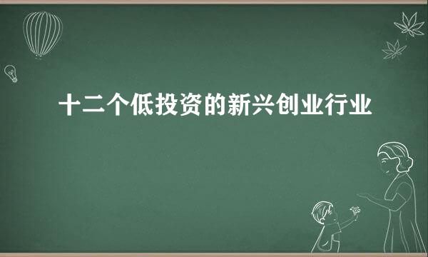 十二个低投资的新兴创业行业
