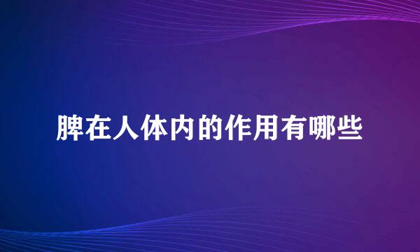 脾在人体内的作用有哪些