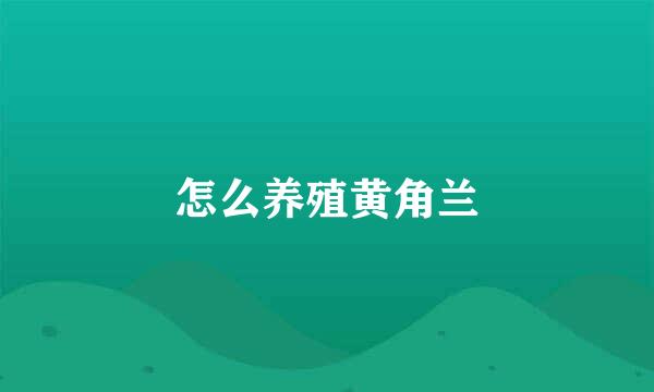 怎么养殖黄角兰
