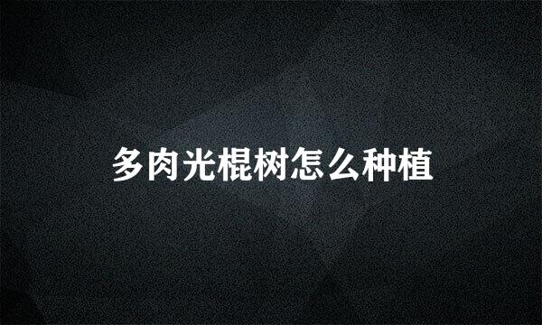 多肉光棍树怎么种植