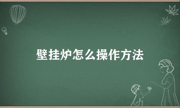 壁挂炉怎么操作方法