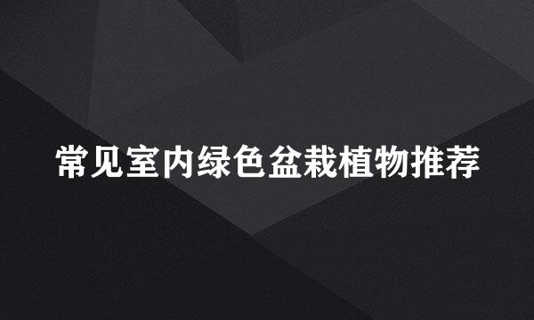 常见室内绿色盆栽植物推荐