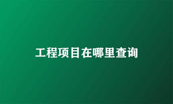工程项目在哪里查询
