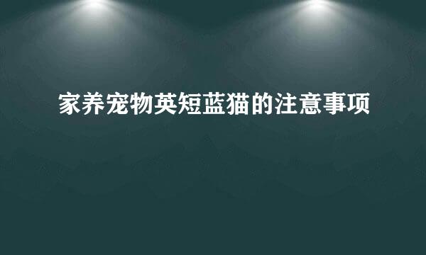 家养宠物英短蓝猫的注意事项