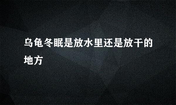 乌龟冬眠是放水里还是放干的地方