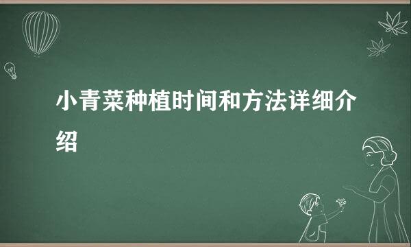 小青菜种植时间和方法详细介绍