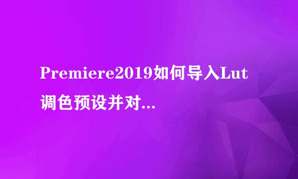 Premiere2019如何导入Lut调色预设并对视频调色