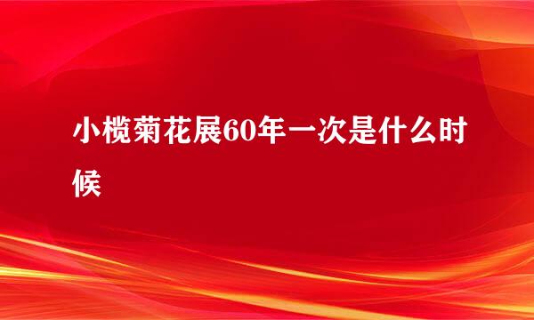 小榄菊花展60年一次是什么时候