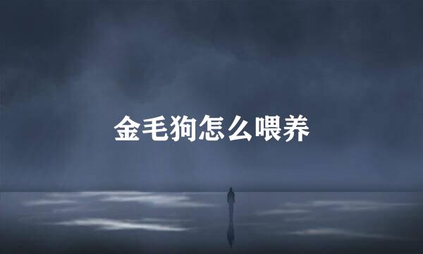 金毛狗怎么喂养