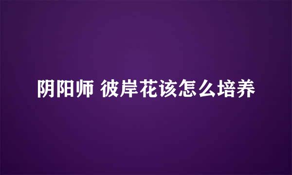 阴阳师 彼岸花该怎么培养