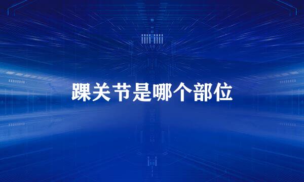 踝关节是哪个部位
